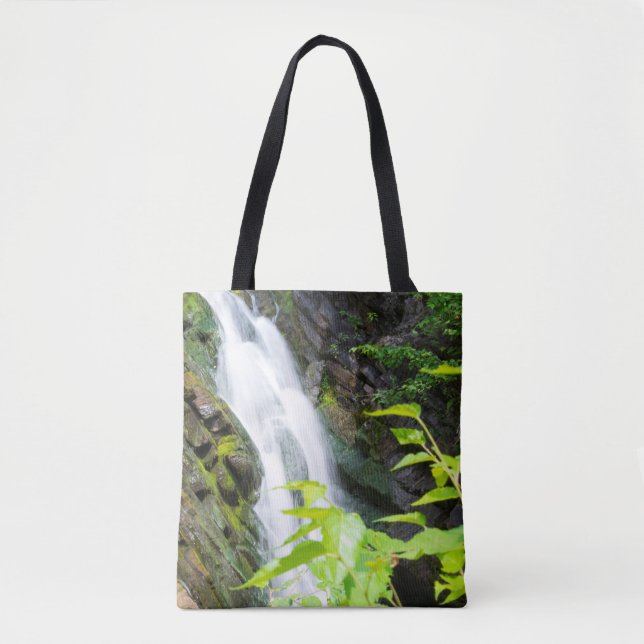Wasserfall in Hell's Gate Canyon (Vorderseite)