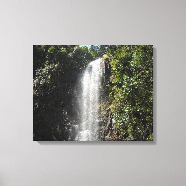 Wasserfall in Kauai, Hawaii Leinwanddruck (Vorderseite)