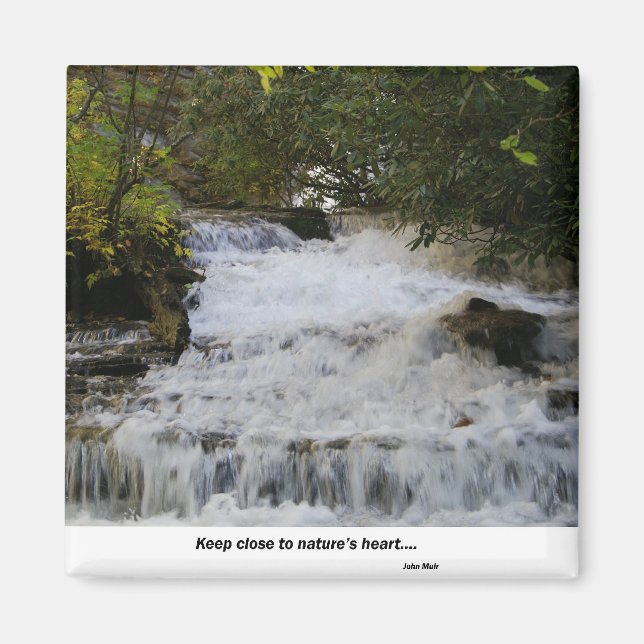 Wasserfall in North Carolina Magnet (Vorne)