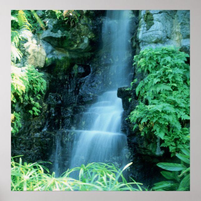 WASSERFALL IN SHAWS GARDEN POSTER (Vorne)