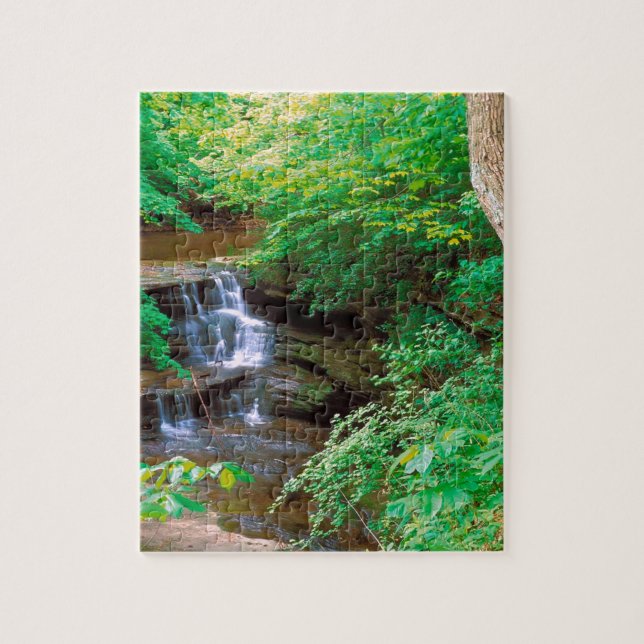 Wasserfall in verhungertem Felsen-Staats-Park Puzzle (Vertikal)