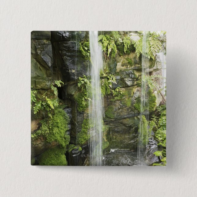 Wasserfall, mäßiger Regenwald, Neuseeland. Button (Vorderseite)