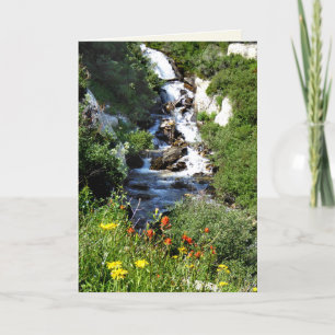 Wasserfall mit Wildblumen, NV-Blankkarte Karte