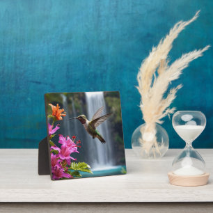 Wasserfall Park Hummingbird, Fotoplatte
