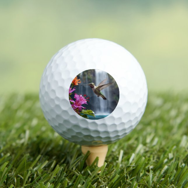 Wasserfall Park Hummingbird, Golfball (Insitu T-Shirt)