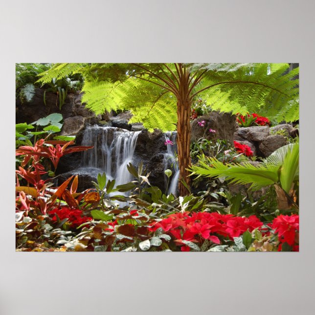 Wasserfall Poster (Vorne)