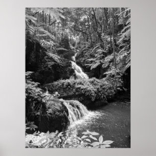 Wasserfall Poster