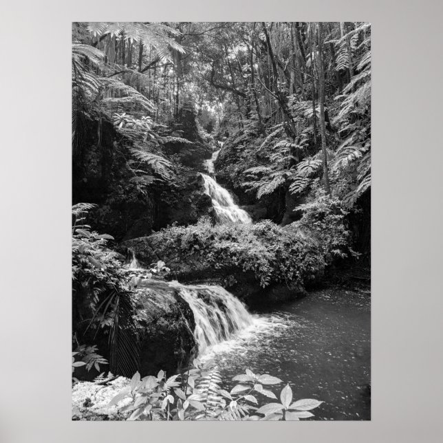 Wasserfall Poster (Vorne)