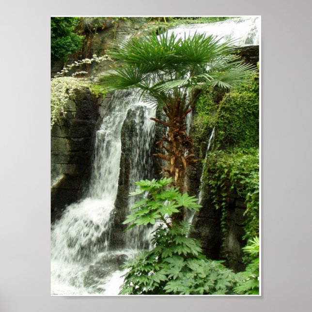 Wasserfall Poster (Vorne)