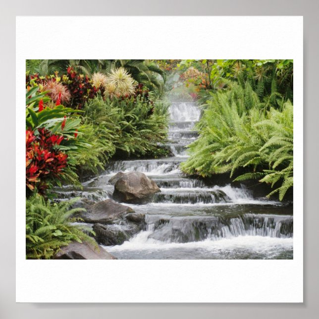 Wasserfall Poster (Vorne)