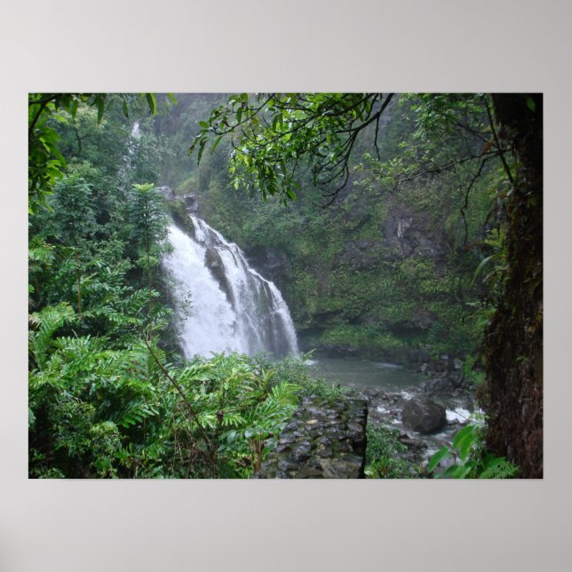 Wasserfall Poster (Vorne)