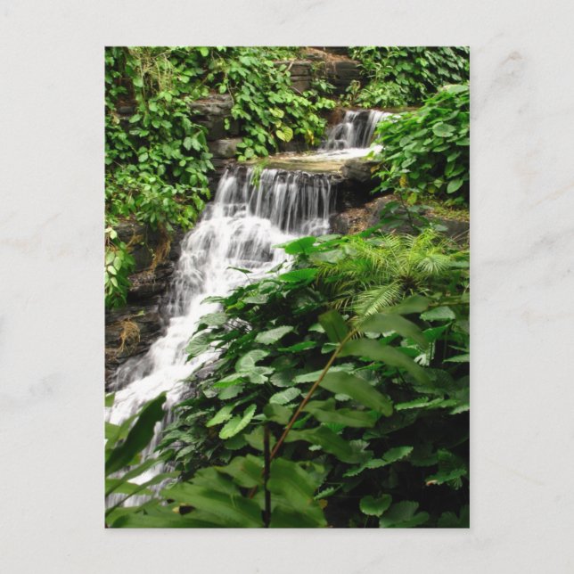 Wasserfall Postkarte (Vorderseite)