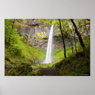 Wasserfall rund um die grüne Landschaft von Oregon Poster