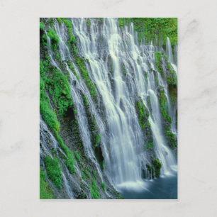 Wasserfall Szene, Kalifornien Postkarte