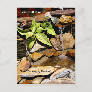 Wasserfall-Teich Port Charlotte FL Postkarte