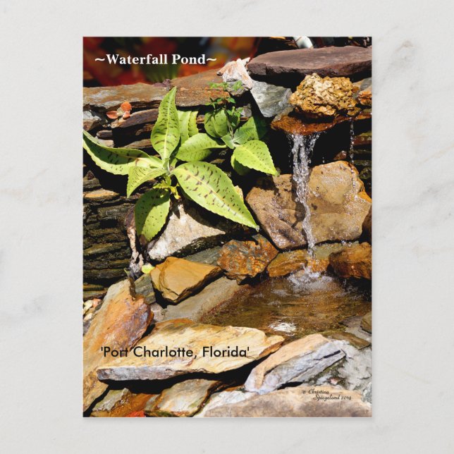 Wasserfall-Teich Port Charlotte FL Postkarte (Vorderseite)