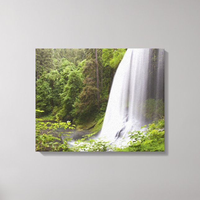 Wasserfall und Waldblick in Oregon Leinwanddruck (Vorderseite)