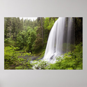 Wasserfall und Waldblick in Oregon Poster