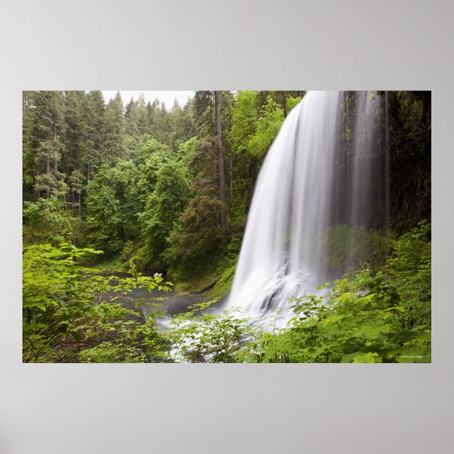 Wasserfall und Waldblick in Oregon Poster (Vorne)