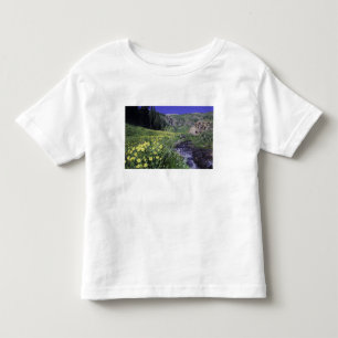 Wasserfall und Wildblumen auf Almwiese, 2 Kleinkind T-shirt