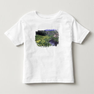 Wasserfall und Wildblumen auf Almwiese, 2 Kleinkind T-shirt