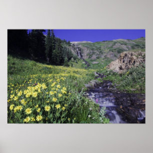 Wasserfall und Wildblumen auf Almwiese, 2 Poster