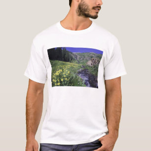 Wasserfall und Wildblumen auf Almwiese, 2 T-Shirt