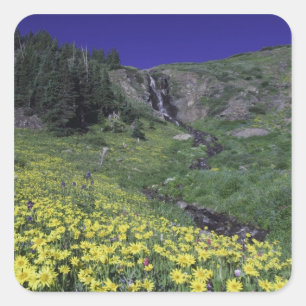 Wasserfall und Wildblumen auf Almwiese, 3 Quadratischer Aufkleber