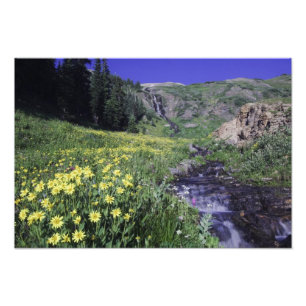 Wasserfall und Wildblumen auf Almwiese, Fotodruck