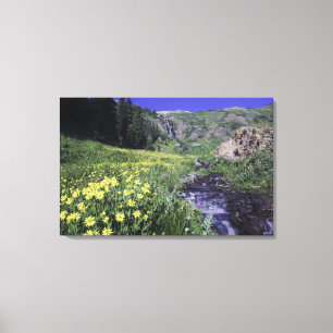 Wasserfall und Wildblumen auf Almwiese, Leinwanddruck