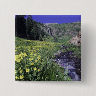 Wasserfall und Wildblumen auf Almwiesen, 2 Button