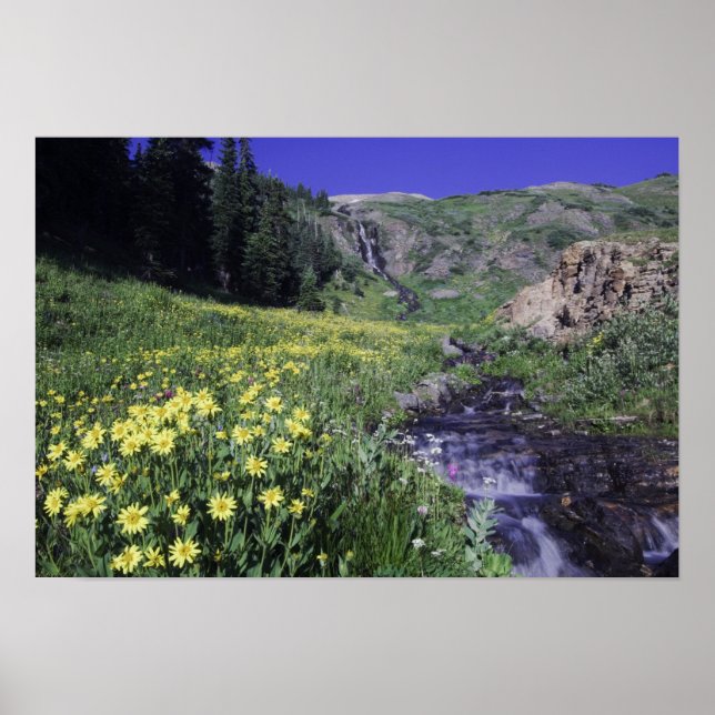 Wasserfall und Wildblumen auf Almwiesen, Poster (Vorne)