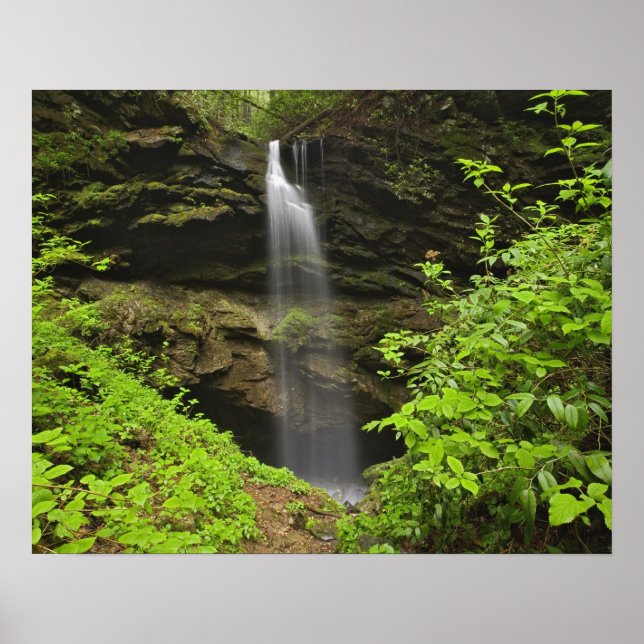 Wasserfall, untergehen, Whiteoak Sink, Poster (Vorne)