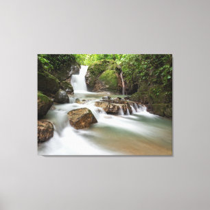 Wasserfall von Ojochal in Costa Rica Leinwanddruck