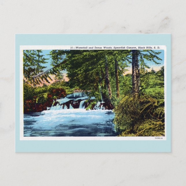 Wasserfall, Wald, Seeteufel Canyon, Schwarze Hügel Postkarte (Vorderseite)