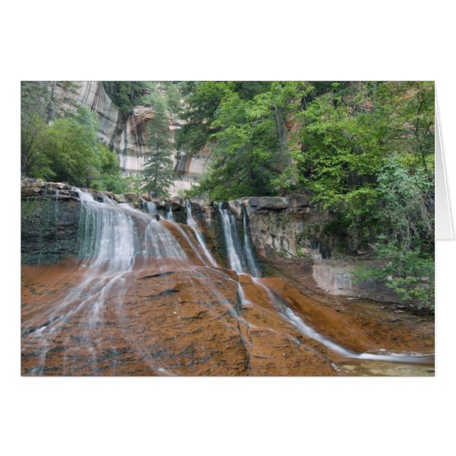 Wasserfall, Zion National Park, Utah, USA (Vorderseite (Horizontal))