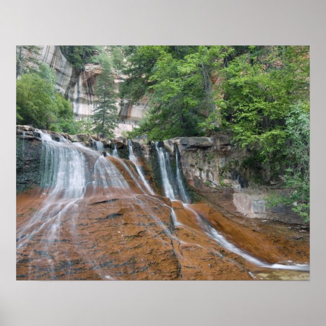 Wasserfall, Zion National Park, Utah, USA Poster (Vorne)