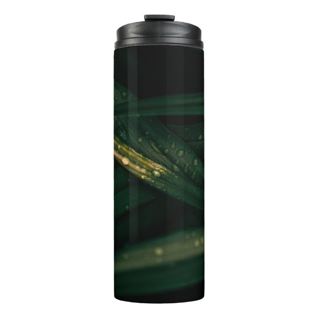 WASSERFÄLLE AUF GRÜNEN FLASCHEN (Vorderseite)