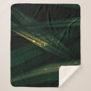 WASSERFÄLLE AUF GRÜNEN FLASCHEN SHERPADECKE