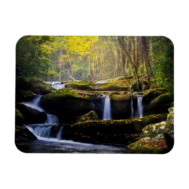 Wasserfälle | Great Smoky Mountain National Park Magnet (Horizontal)