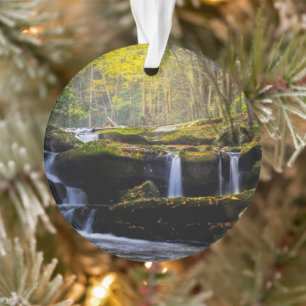 Wasserfälle   Great Smoky Mountain National Park Ornament