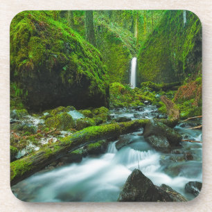 Wasserfälle   Grotto Falls, Oregon Getränkeuntersetzer
