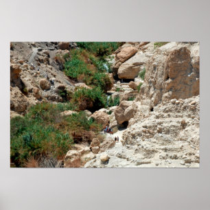 Wasserfälle im Ein Gedi in der Juden Wüste, Israel Poster