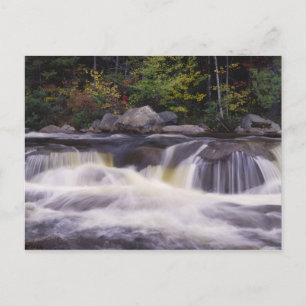 Wasserfälle, Kancamagus Highway, weiß Postkarte
