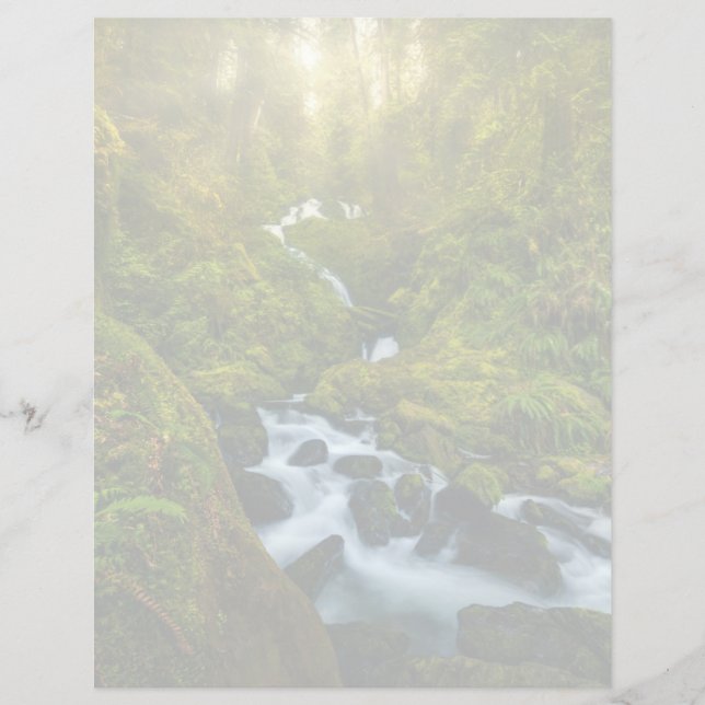 Wasserfälle | Olympic National Park, Washington (Vorderseite)