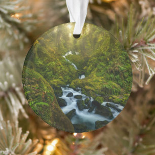 Wasserfälle   Olympic National Park, Washington Ornament