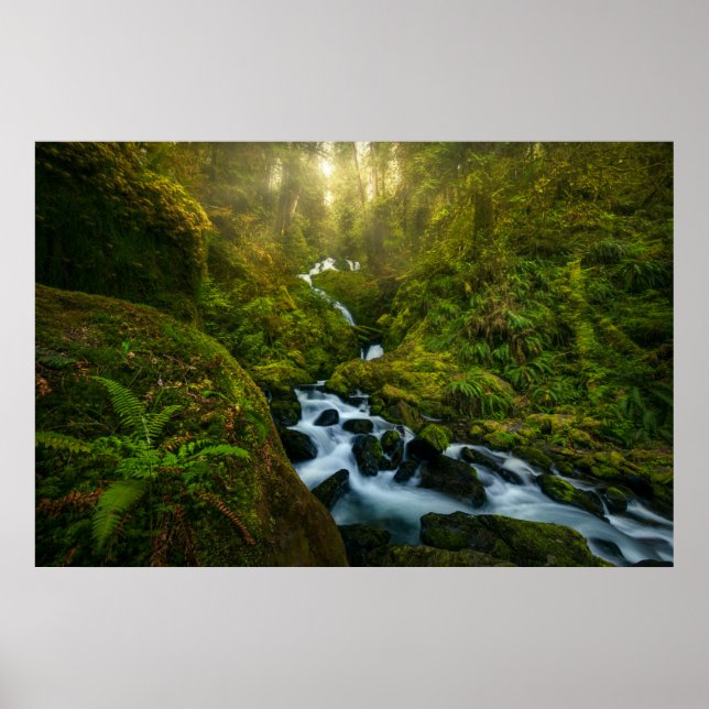 Wasserfälle | Olympic National Park, Washington Poster (Vorne)
