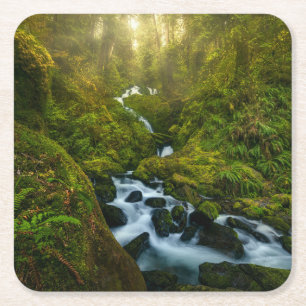 Wasserfälle Olympic National Park, Washington Rechteckiger Pappuntersetzer