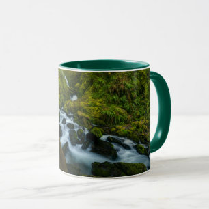 Wasserfälle Olympic National Park, Washington Tasse