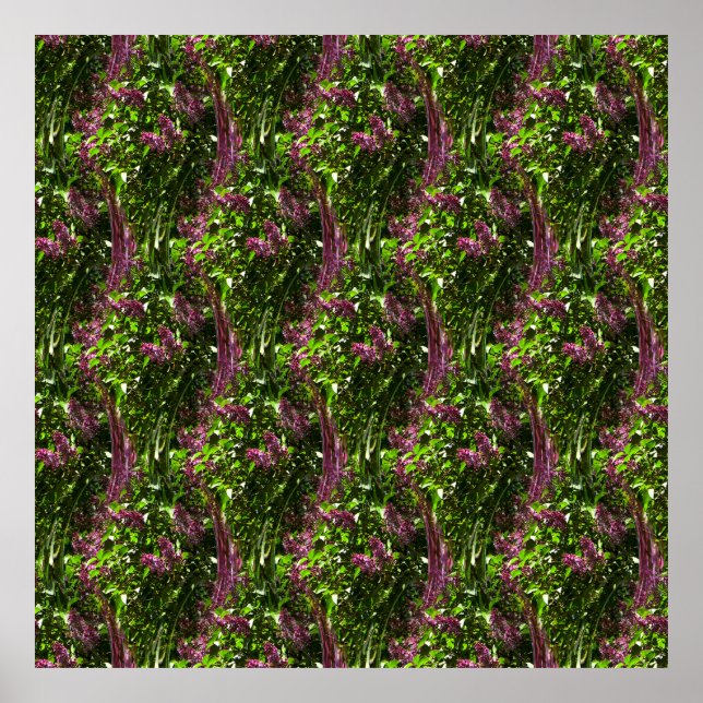 Wasserfälle von Lilac... Poster (Vorne)